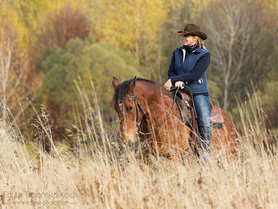 jazda konna konie w Bieszczadach